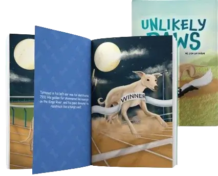 Barnes and Noble Publishers